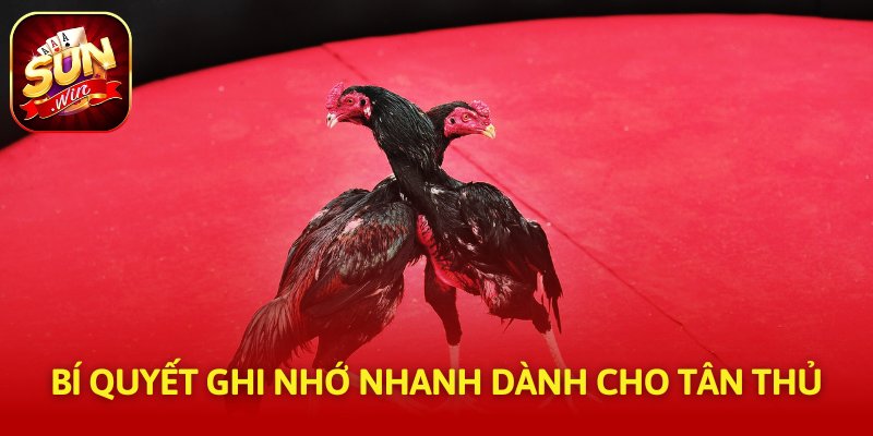 Bí quyết ghi nhớ nhanh dành cho tân thủ