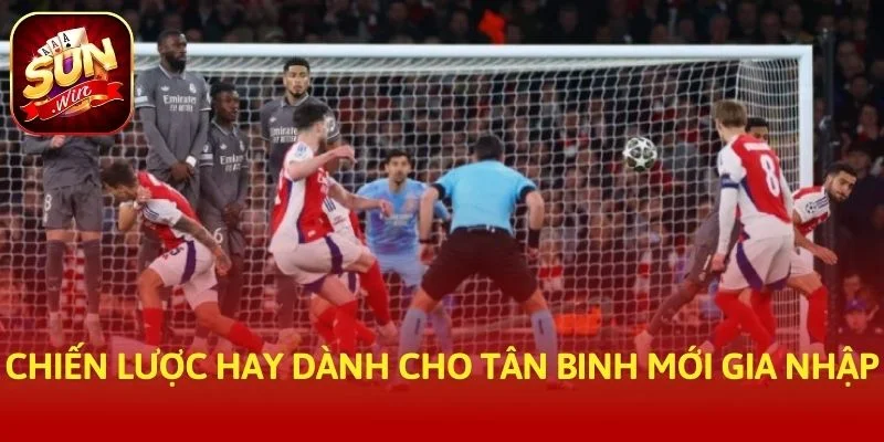 Chiến lược hay dành cho tân binh mới gia nhập