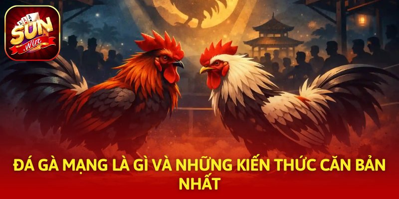 Đá Gà Mạng Là Gì Và Những Kiến Thức Căn Bản Nhất