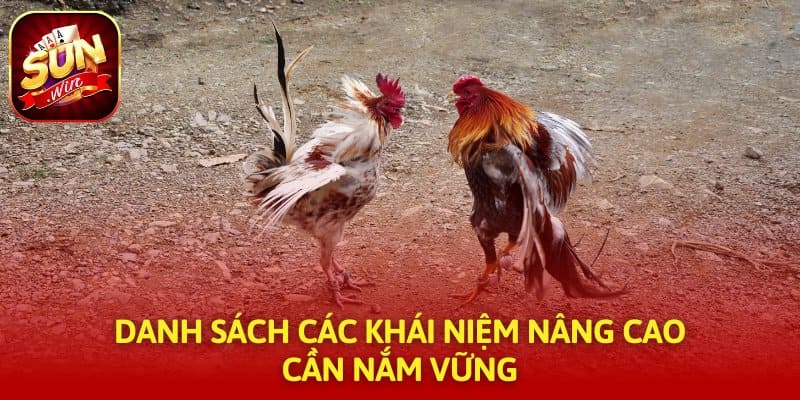 Danh sách các khái niệm nâng cao cần nắm vững
