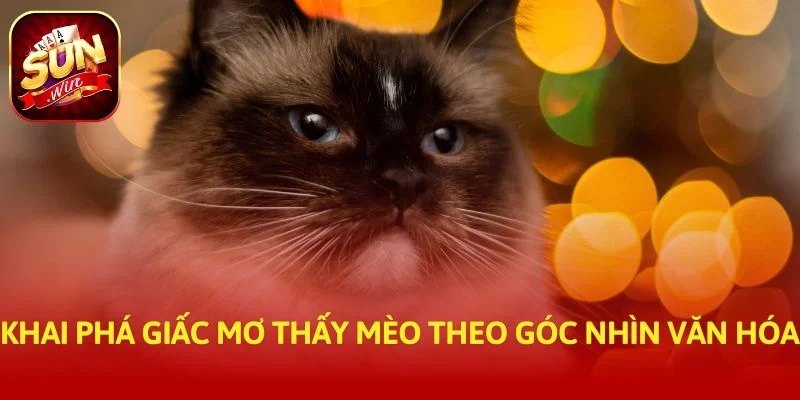 Khai phá giấc mơ thấy mèo theo góc nhìn văn hóa