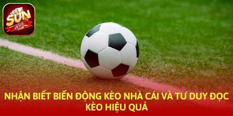 Nhận Biết Biến Động Kèo Nhà Cái và tư duy đọc kèo hiệu quả