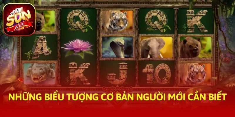 Những biểu tượng cơ bản người mới cần biết