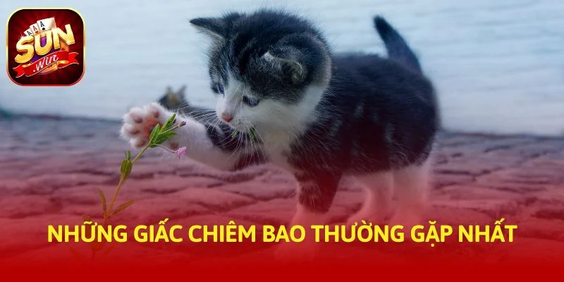 Những giấc chiêm bao thường gặp nhất