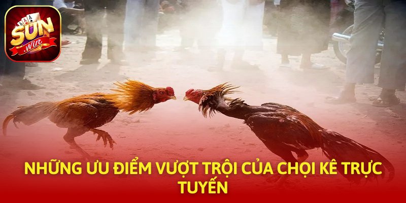 Những ưu điểm vượt trội của chọi kê trực tuyến