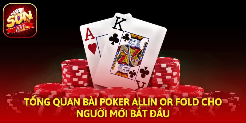 Tổng quan bài Poker Allin or Fold cho người mới bắt đầu