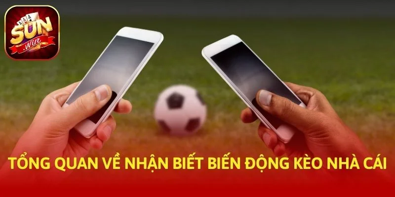 Tổng quan về Nhận Biết Biến Động Kèo Nhà Cái