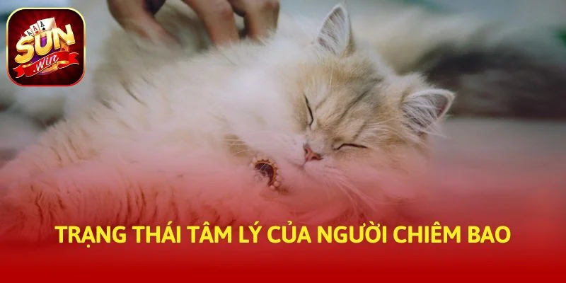 Trạng thái tâm lý của người chiêm bao